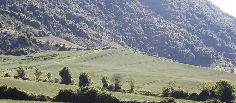 monreal garitoain 6.jpg